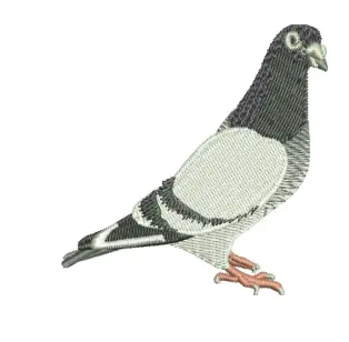 Pigeon Embroidery Design-myembdesigns